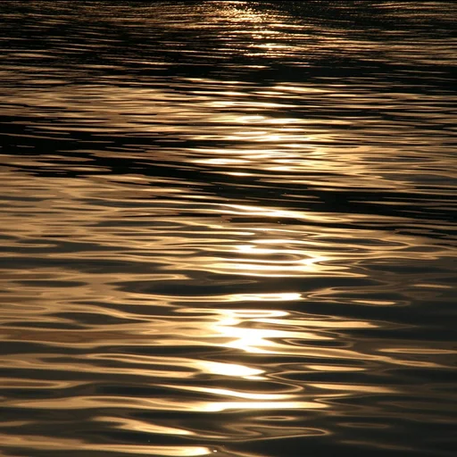 壹号娱乐博彩牌照